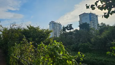 A kite is flying in the sky above a city