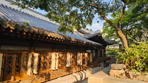 A large building with a tree in front of it