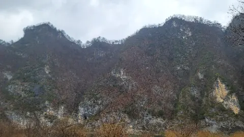 A mountain with trees and a cave
