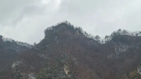 A mountain with trees and a cloudy sky