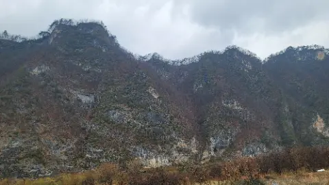 A mountain with trees and a rocky cliff