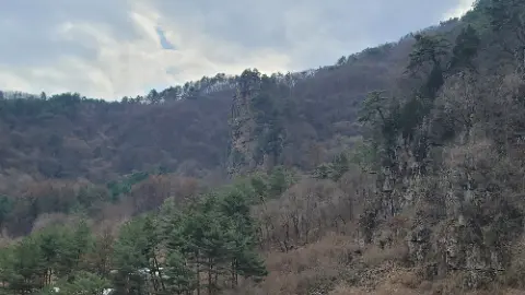A mountain with trees and a rocky cliff