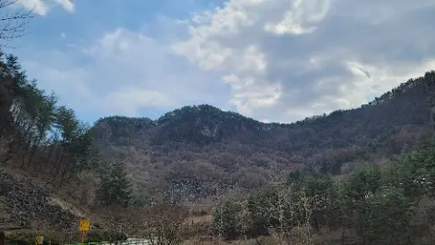 A mountain with trees and a sky background