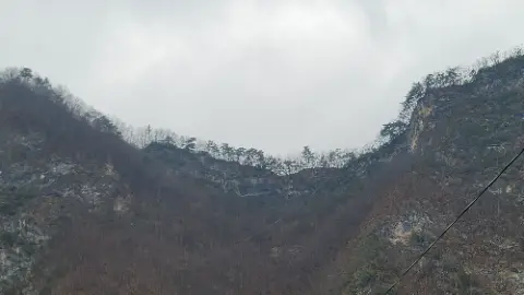 A mountain with trees on it