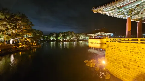 A nighttime view of a lake with a lit torch