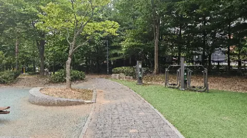 A park with a bench and a tree
