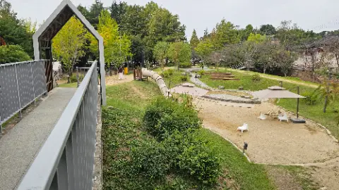 A park with a playground and a dog walking on