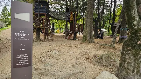 A park with a playground and a tree