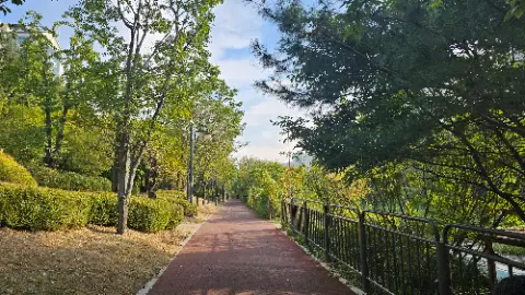 A paved pathway in a park with trees on both