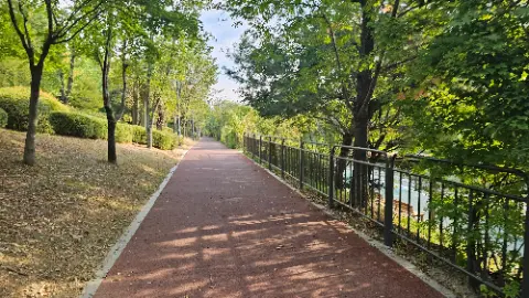 A paved pathway with trees on either side