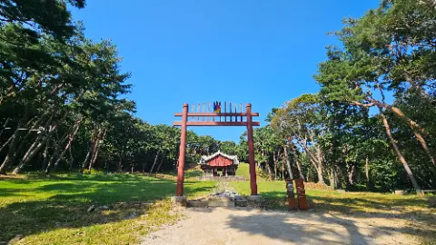 A person is standing on top of a wooden structure