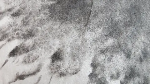 A piece of dirty cloth with the word ILSANG on