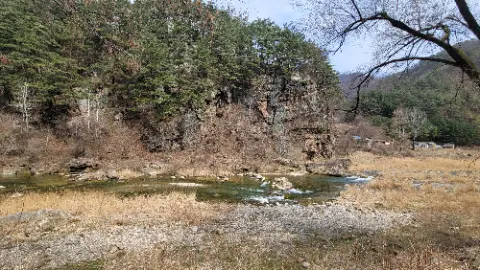 A river flows through a forest with a rocky hillside