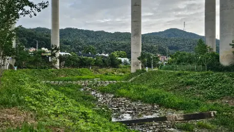 A river with a bridge and a concrete wall