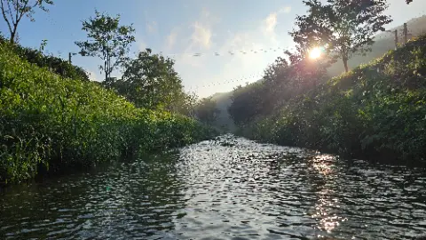 A river with a forest in the background