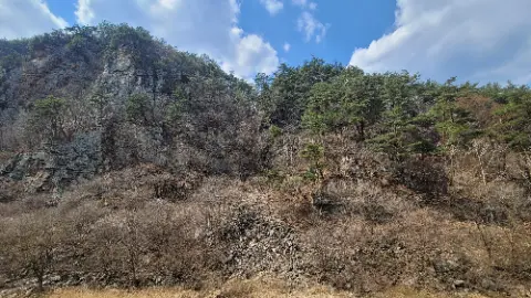 A rocky hillside with trees and a blue sky