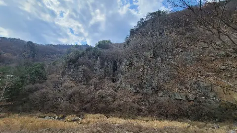 A rocky hillside with trees and a cloudy sky