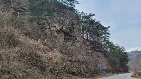 A rocky hillside with trees and a sign