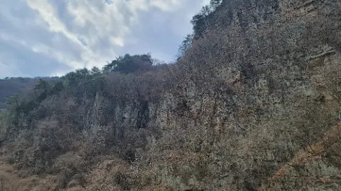 A rocky mountain with trees and a sky background