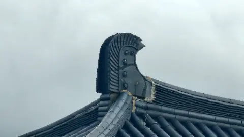 A roof with a black tile and a black tile