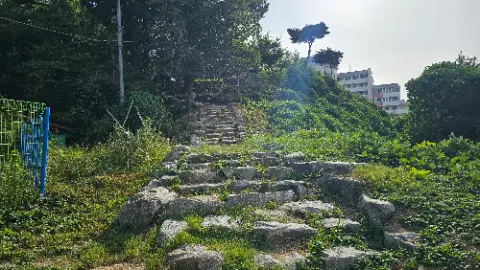A set of stone steps leading up a hill