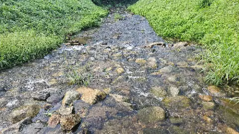 A small stream of water with rocks in it