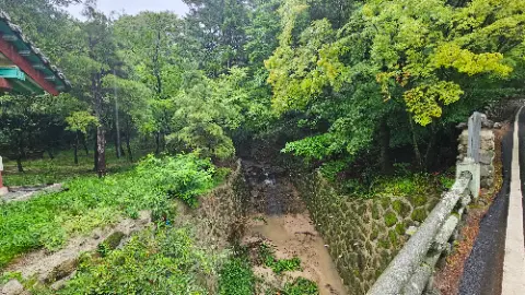 A small waterfall in a forest with a stone wall