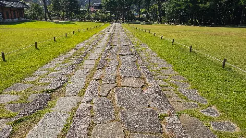 A stone pathway with grass on the sides
