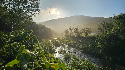 A stream of water with a sun shining on it