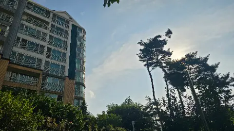 A tall building with a green roof and a tree