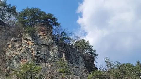 A tree covered hillside with a blue sky above