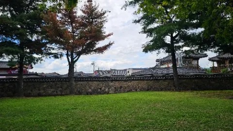 A tree in front of a stone wall