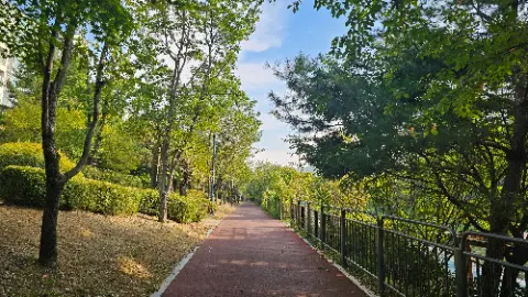 A tree lined pathway with a fence on the side