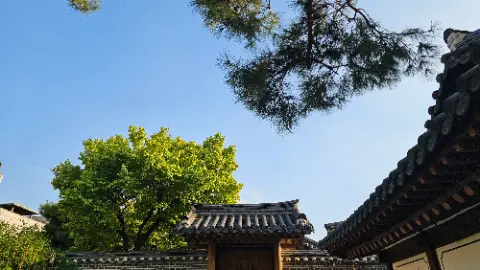 A tree with green leaves is in front of a