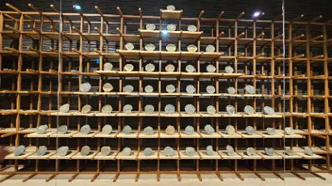 A wooden display case with a variety of different sized