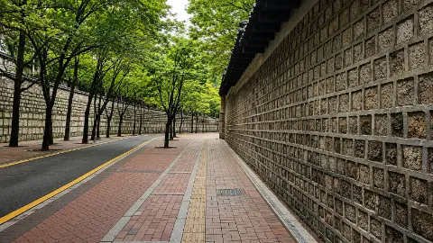 Deoksugung Stone Wall Path — tree-lined walkway