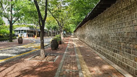 Deoksugung Stone Wall Walk